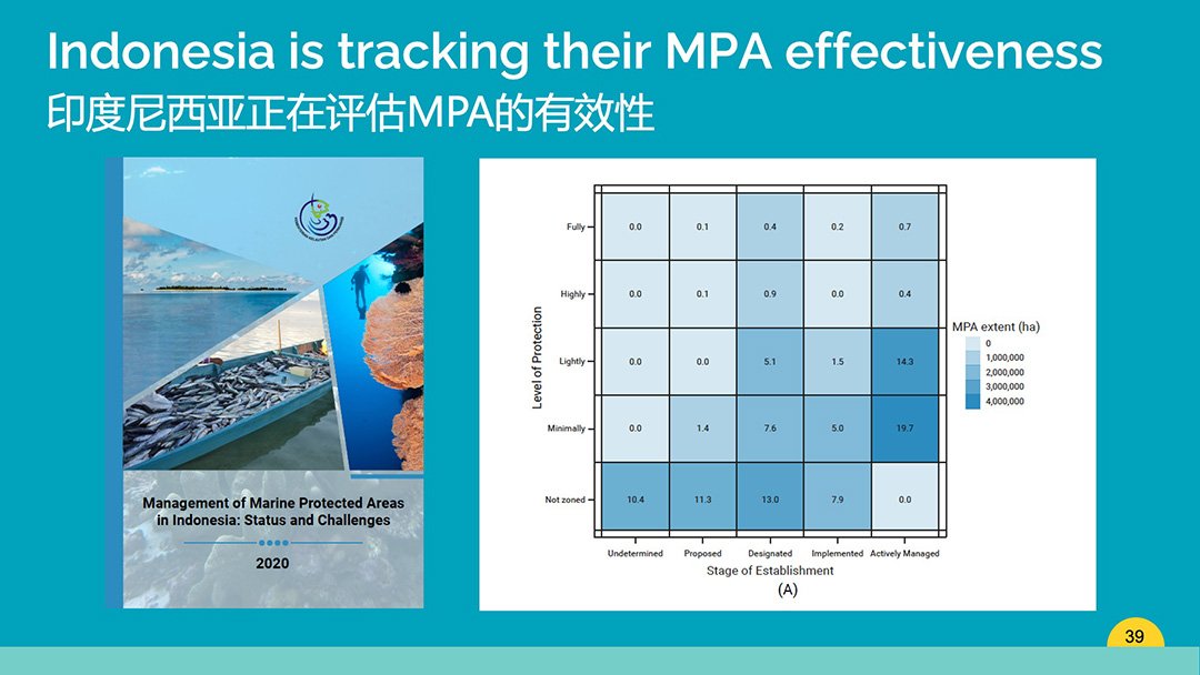 什么样的MPA才能实现海洋30目标？-自然资源保护协会